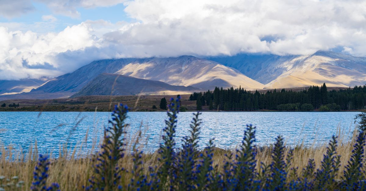Christchurch Lakes and Lookouts for a Clean South Island Start