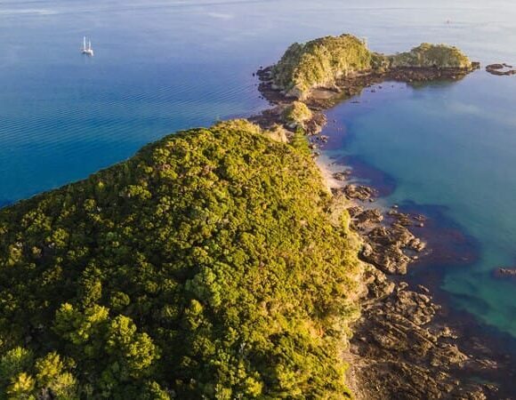 5 Important Things To Know When Renting A Campervan In Auckland While Touring New Zealand’s North Island
