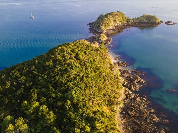 5 Important Things To Know When Renting A Campervan In Auckland While Touring New Zealand’s North Island