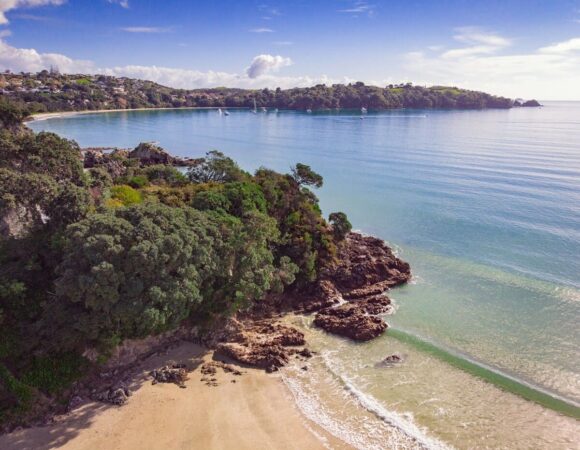 Experience the Best of Auckland through the Comfort of a Campervan