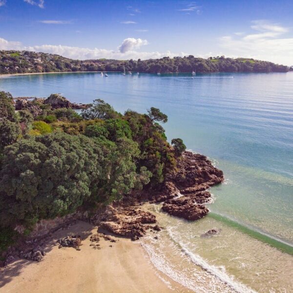 Experience the Best of Auckland through the Comfort of a Campervan